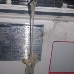 アジング練習 243 ヒイカ調査