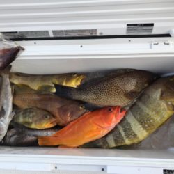 2020 釣り納め釣行