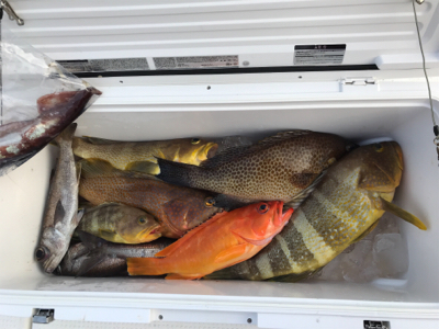 2020 釣り納め釣行