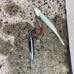 太刀魚美味いよね！