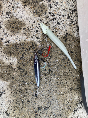 太刀魚美味いよね！