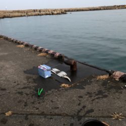 夕マズメのカマス