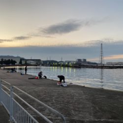 今年の釣り納めは、深日港にて、カレイ釣り