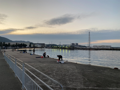 今年の釣り納めは、深日港にて、カレイ釣り