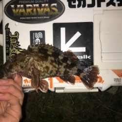 2020年ラスト釣行