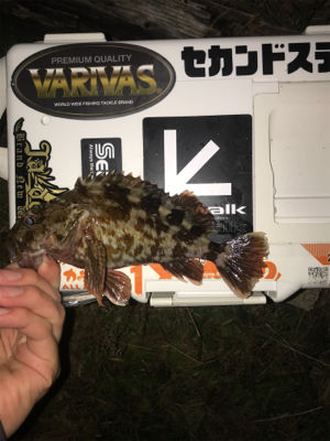 2020年ラスト釣行