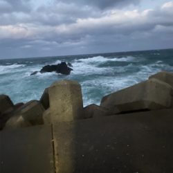 壱岐島でアジング！