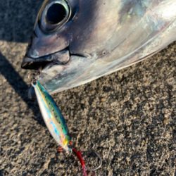 デイライトゲーム