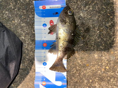 寒さに負けず新規開拓