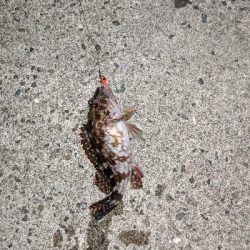 仕事帰りにライトゲーム