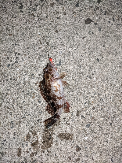 仕事帰りにライトゲーム