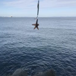 シーズン終了間近！お急ぎ下さい