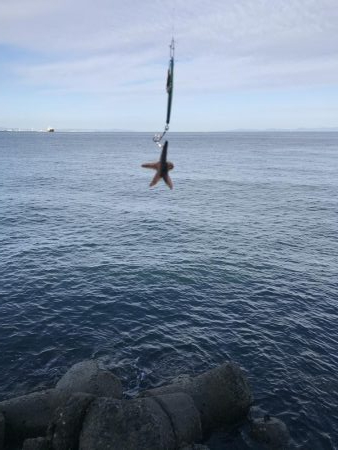 シーズン終了間近！お急ぎ下さい