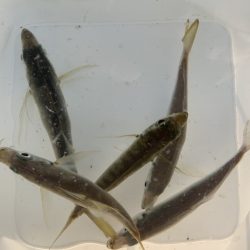 絶好の釣り日和