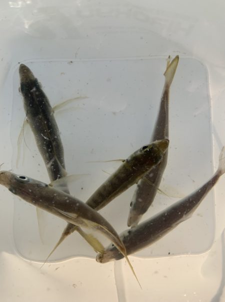 絶好の釣り日和