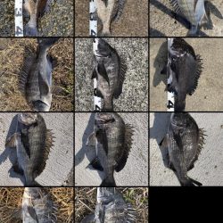 イチノ兄弟、釣果!