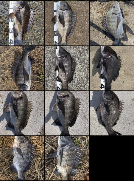 イチノ兄弟、釣果!