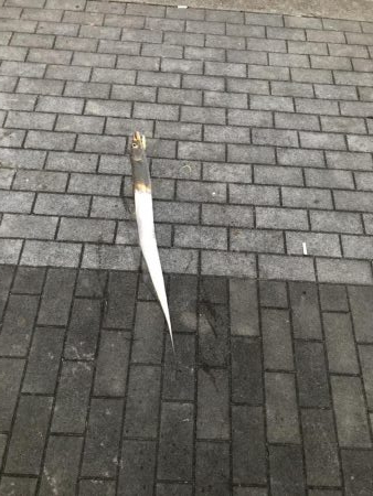 シーサイドコスモ