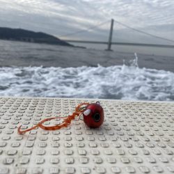 釣り納め　正月用の鯛