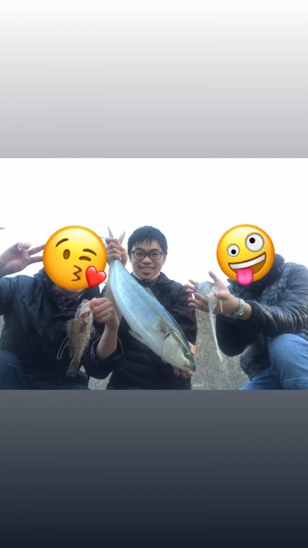 出ました！青物！ハタ！コウイカ