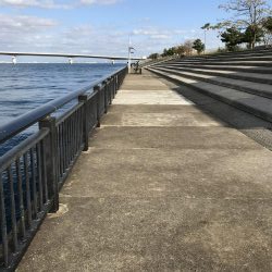 お昼のガラガラ神戸空港、ハマチ&大物ヒット