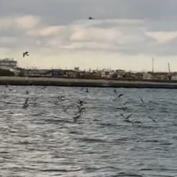 初場所チャレンジ！