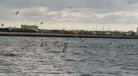 初場所チャレンジ！