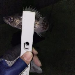 タングステン！