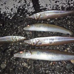 少しだけちょい投げ