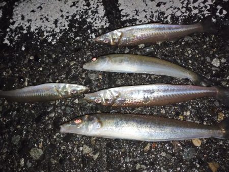 少しだけちょい投げ