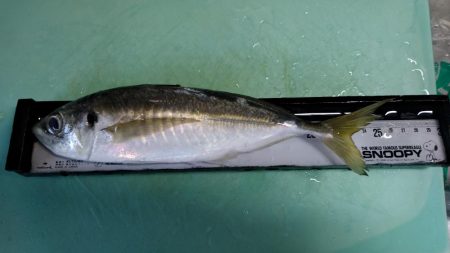 気温がまだ高いので