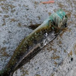 価値ある一杯！