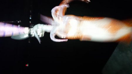 初キロアップならず