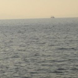 スーパーボイル発生‼