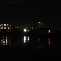 ぶらシーバス！！