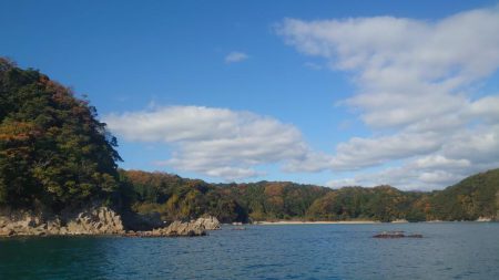 今年ラストエギング