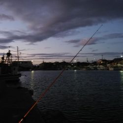 東二見・江井ヶ島釣行