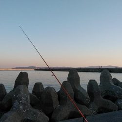 東二見で良型キス爆釣