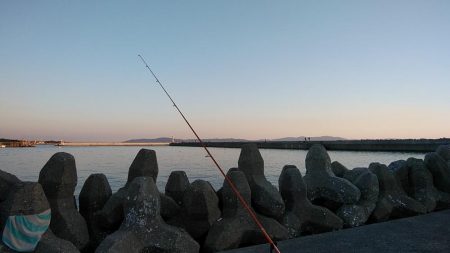東二見で良型キス爆釣