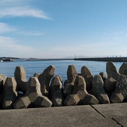 ９時から東二見のキス調査