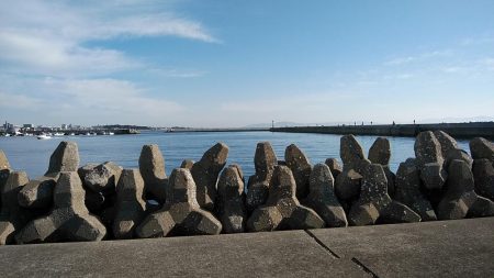 ９時から東二見のキス調査