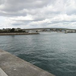 東二見へキス調査