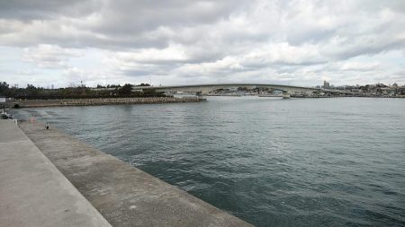 東二見へキス調査