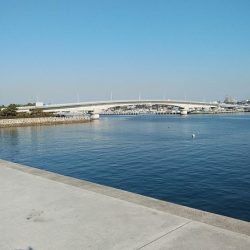 東二見白灯台波止のキス調査