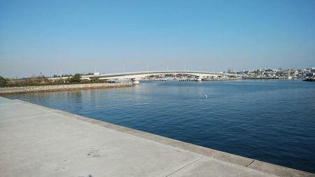 東二見白灯台波止のキス調査