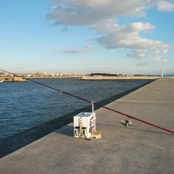 強風の東二見白灯台釣行