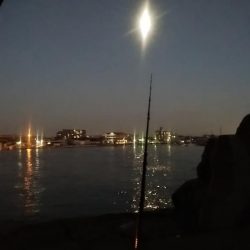 久々の播磨新島撃沈し東二見へ