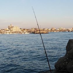 東二見で良型キスが釣れました