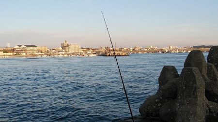 東二見で良型キスが釣れました