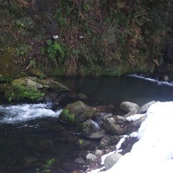 管理渓流釣り場